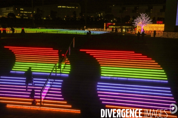 Rizieres de lumiere a tokyo