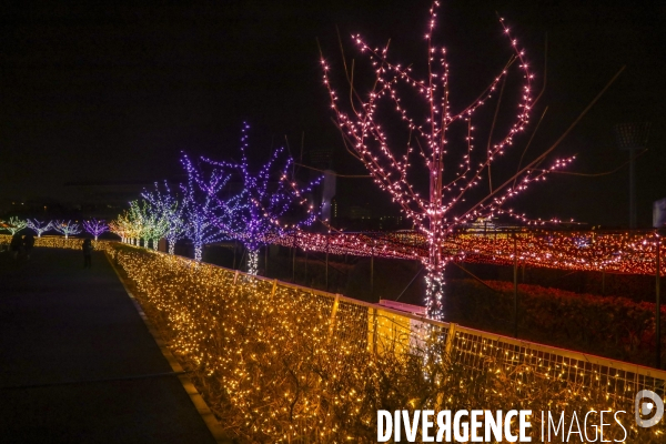 Rizieres de lumiere a tokyo