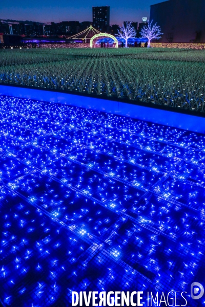 Rizieres de lumiere a tokyo