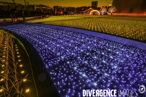 Rizieres de lumiere a tokyo