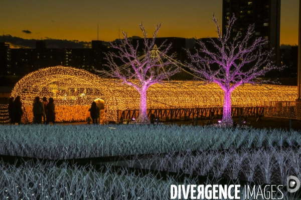 Rizieres de lumiere a tokyo