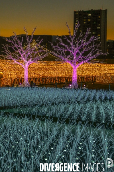 Rizieres de lumiere a tokyo