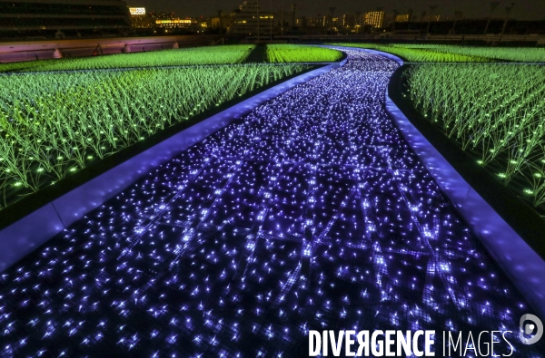 Rizieres de lumiere a tokyo