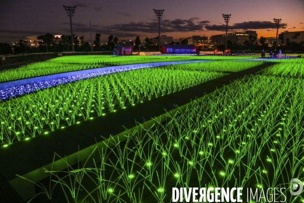 Rizieres de lumiere a tokyo
