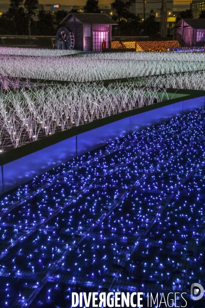 Rizieres de lumiere a tokyo