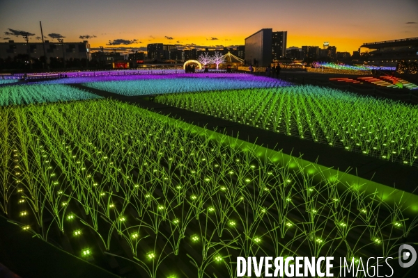 Rizieres de lumiere a tokyo