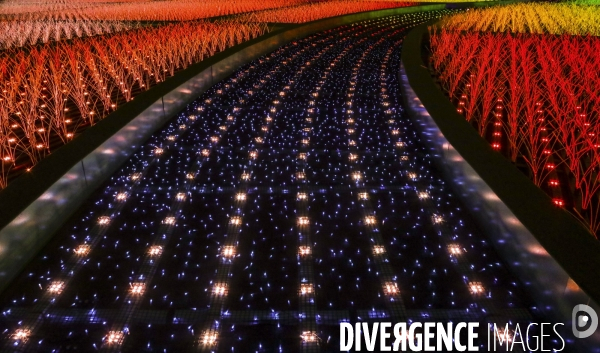 Rizieres de lumiere a tokyo