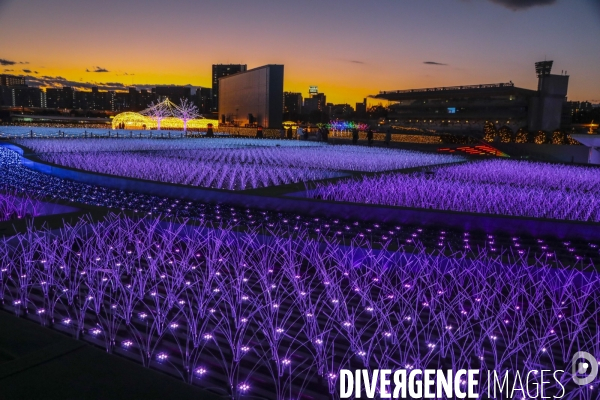 Rizieres de lumiere a tokyo