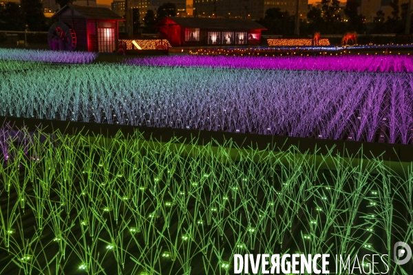 Rizieres de lumiere a tokyo