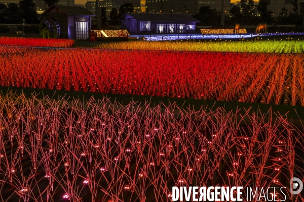 Rizieres de lumiere a tokyo