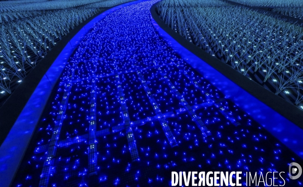 Rizieres de lumiere a tokyo