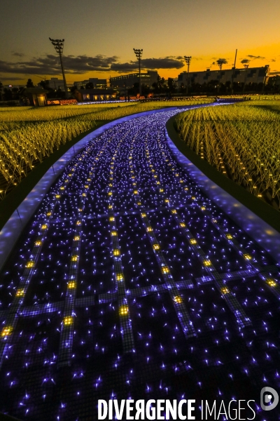 Rizieres de lumiere a tokyo