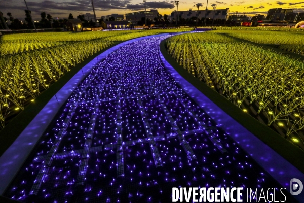 Rizieres de lumiere a tokyo