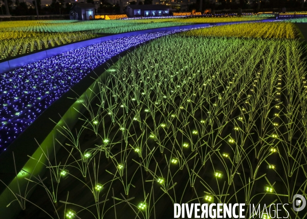 Rizieres de lumiere a tokyo