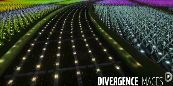 Rizieres de lumiere a tokyo