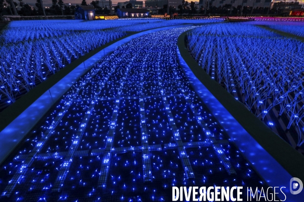 Rizieres de lumiere a tokyo