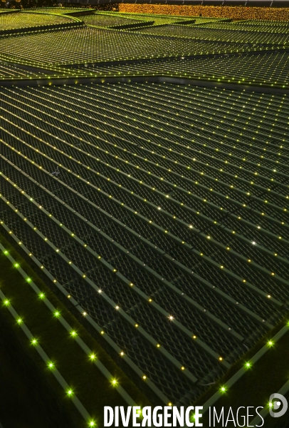 Rizieres de lumiere a tokyo