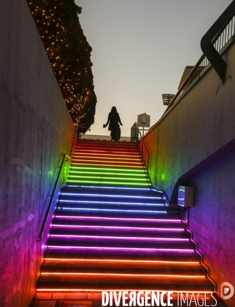 Rizieres de lumiere a tokyo