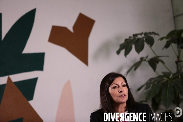Municipales 2020 - hidalgo - le programme pour paris