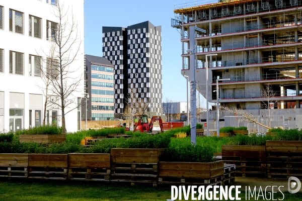 Le campus Condorcet Paris-Nord et ses alentours