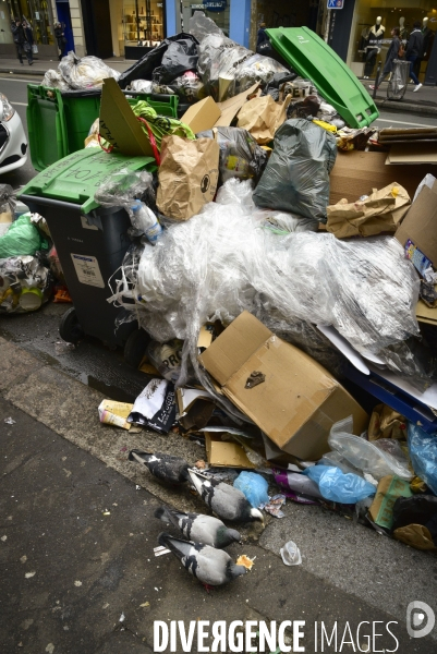 Grève des éboueurs et agents chargés du traitement des déchets à Paris. Garbage collectors and waste treatment workers strike in Paris