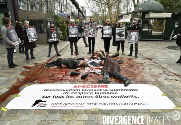 Cause animale : Action  Qui portez vous ?  organisée par l association antispésite 269 Life France.