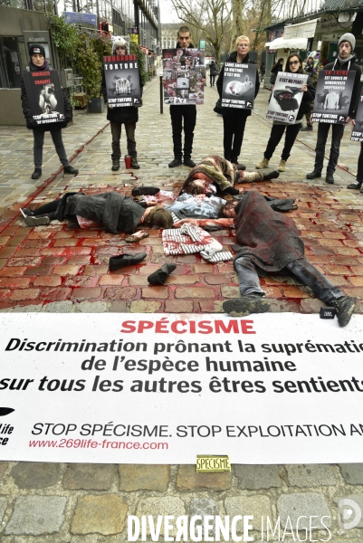 Cause animale : Action  Qui portez vous ?  organisée par l association antispésite 269 Life France.