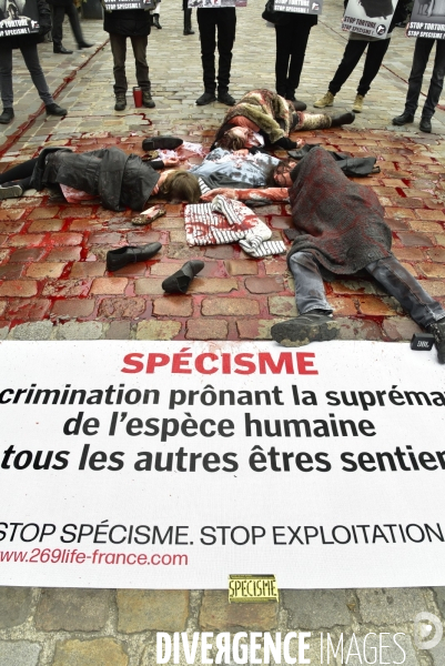 Cause animale : Action  Qui portez vous ?  organisée par l association antispésite 269 Life France.