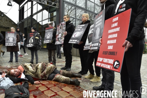 Cause animale : Action  Qui portez vous ?  organisée par l association antispésite 269 Life France.