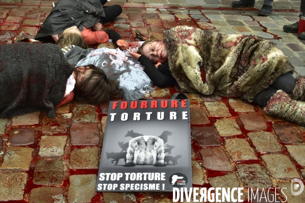Cause animale : Action  Qui portez vous ?  organisée par l association antispésite 269 Life France.