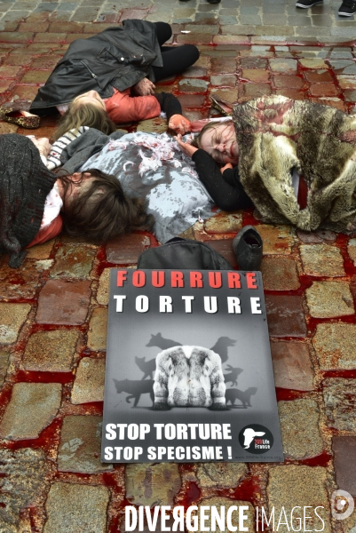 Cause animale : Action  Qui portez vous ?  organisée par l association antispésite 269 Life France.