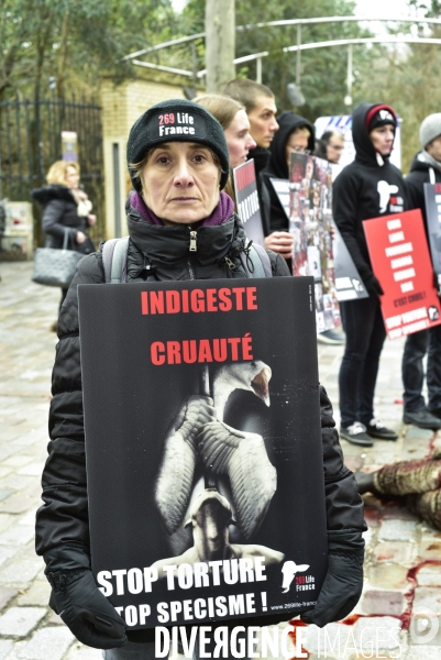 Cause animale : Action  Qui portez vous ?  organisée par l association antispésite 269 Life France.