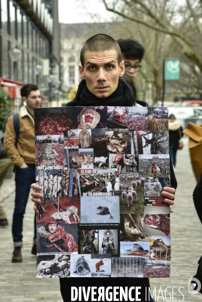 Cause animale : Action  Qui portez vous ?  organisée par l association antispésite 269 Life France.