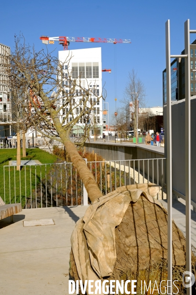 Le campus Condorcet Paris-Nord et ses alentours