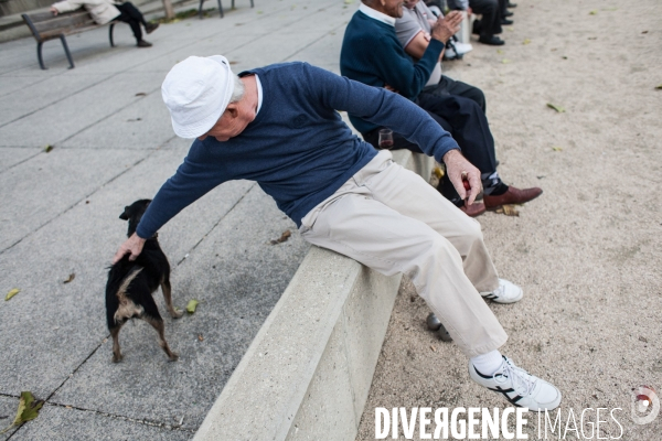 Pétanque