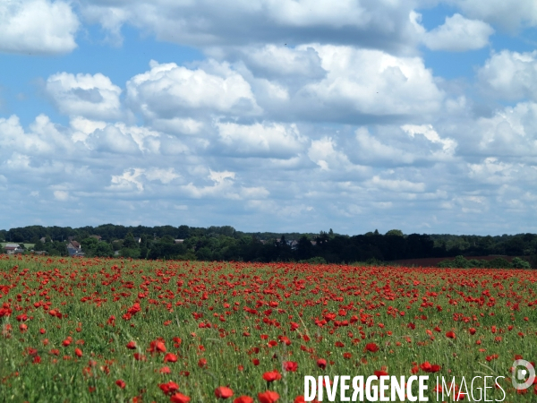 Vie de village,Normandie