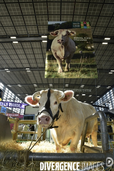 Salon de l Agriculture de Paris. Agricultural show in Paris.