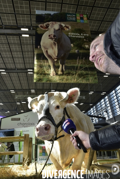 Salon de l Agriculture de Paris. Agricultural show in Paris.