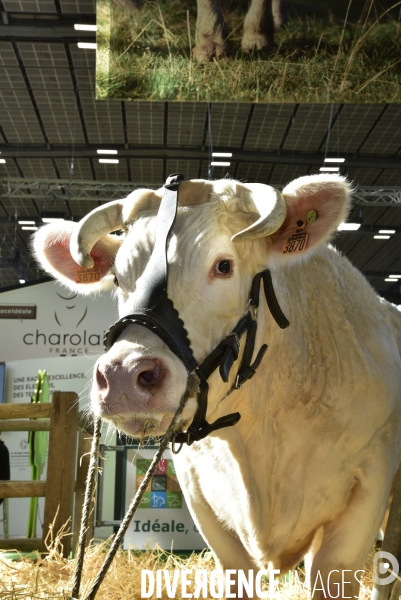 Salon de l Agriculture de Paris. Agricultural show in Paris.