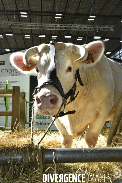 Salon de l Agriculture de Paris. Agricultural show in Paris.