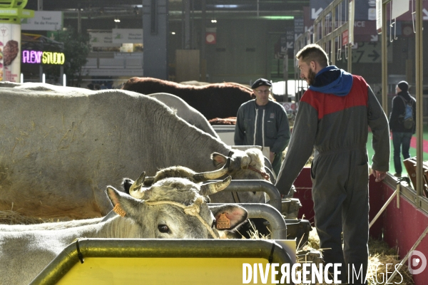 Salon de l Agriculture de Paris. Agricultural show in Paris.
