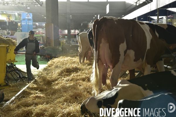 Salon de l Agriculture de Paris. Agricultural show in Paris.