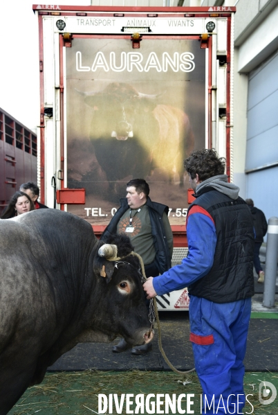 Salon de l Agriculture de Paris. Agricultural show in Paris.