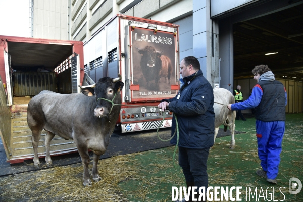 Salon de l Agriculture de Paris. Agricultural show in Paris.