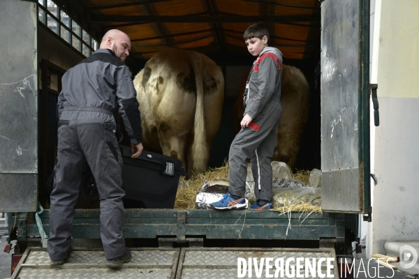 Salon de l Agriculture de Paris. Agricultural show in Paris.