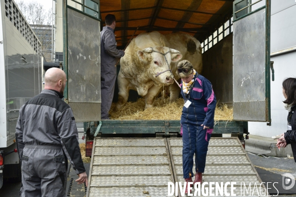 Salon de l Agriculture de Paris. Agricultural show in Paris.