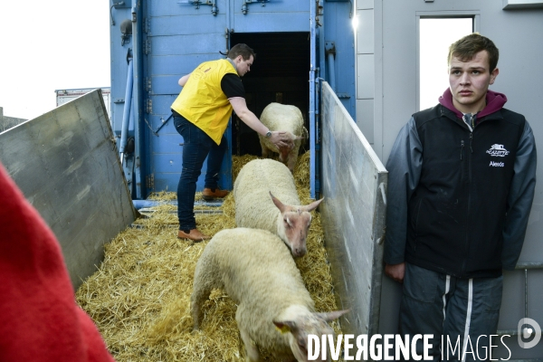 Salon de l Agriculture de Paris. Agricultural show in Paris.