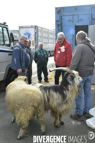 Salon de l Agriculture de Paris. Agricultural show in Paris.