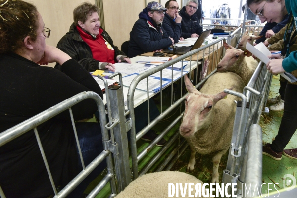 Salon de l Agriculture de Paris. Agricultural show in Paris.