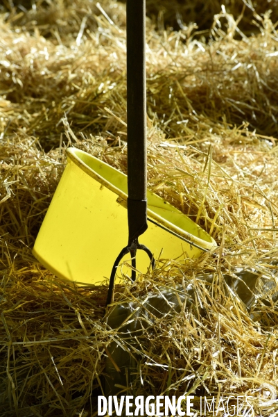 Salon de l Agriculture de Paris. Agricultural show in Paris.